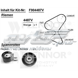 206  Triger set
