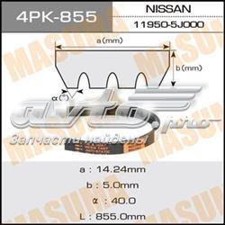 Volkswagen Passat B5 şarj dinamosu kayışı