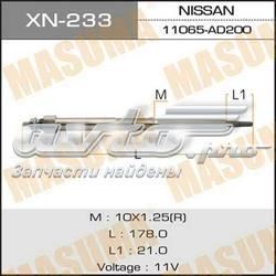 XN233 Masuma