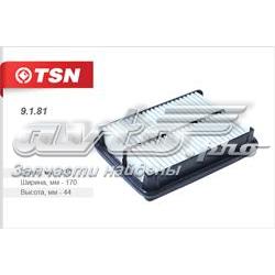 9181 TSN