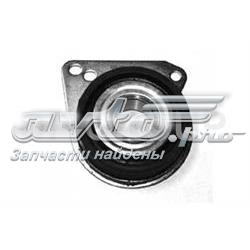 SS9138 DP Group