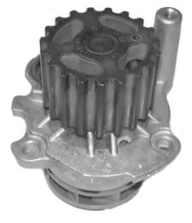 A196 Dolz