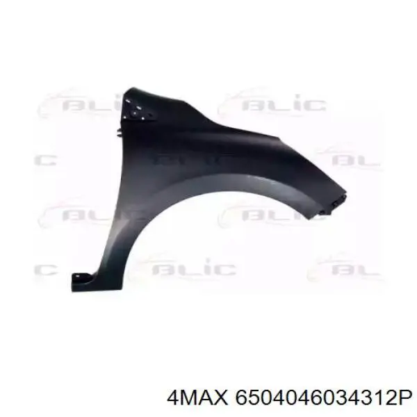 Renault (RVI) 631002841R