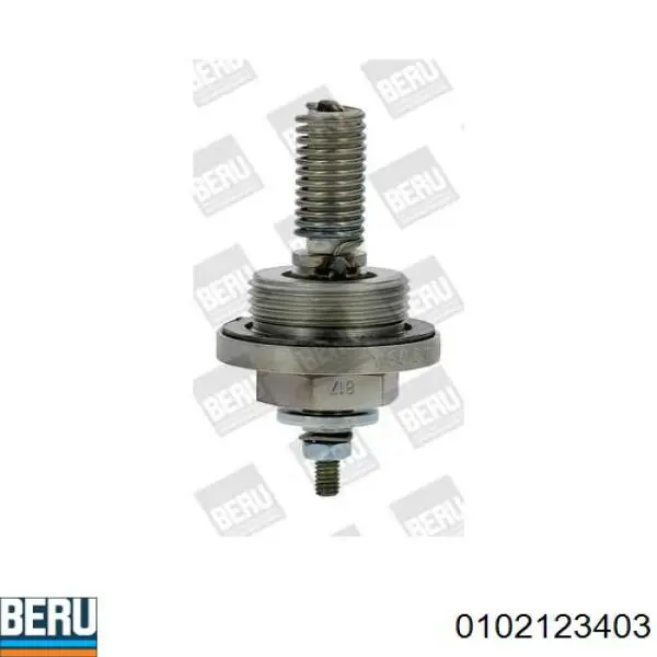 Eberspracher 251830010100