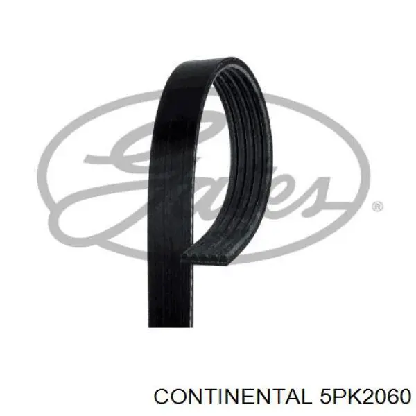 Continental/Siemens 5PK2060