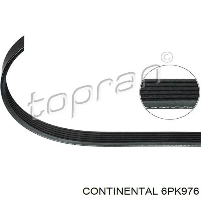 Continental/Siemens 6PK976