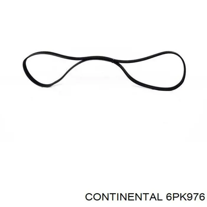 Continental/Siemens 6PK976