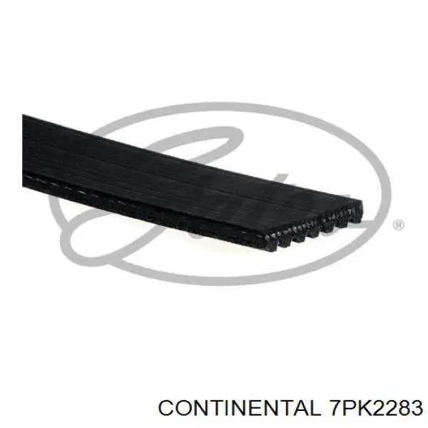 Continental/Siemens 7PK2283