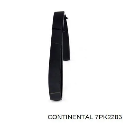 Continental/Siemens 7PK2283