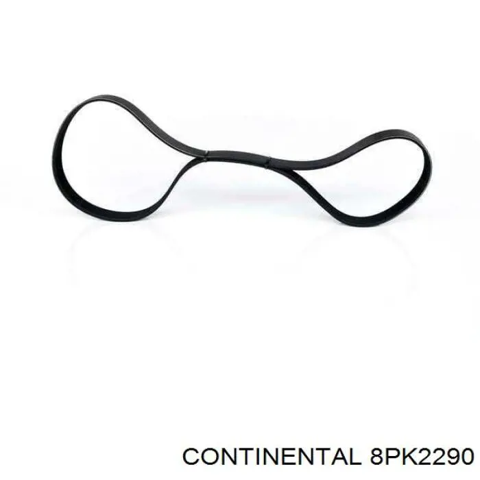 8PK2290 Continental/Siemens