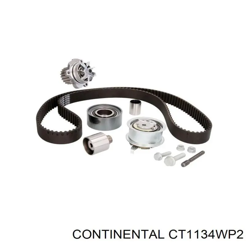 CT1134WP2