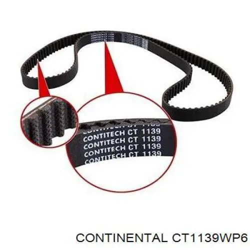 CT1139WP6