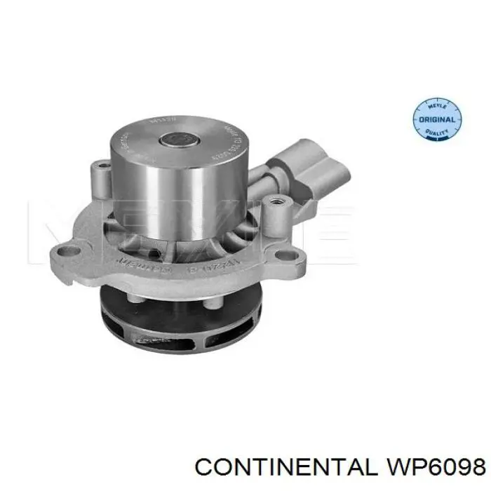 WP6098