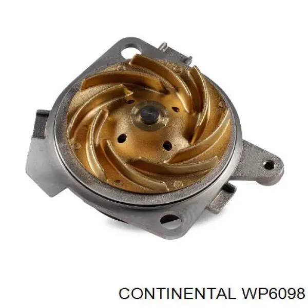  WP6098 Continental/Siemens