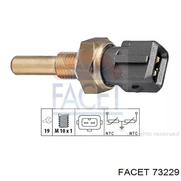 Facet 73229