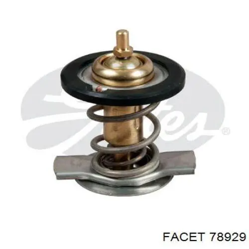 78929 Facet