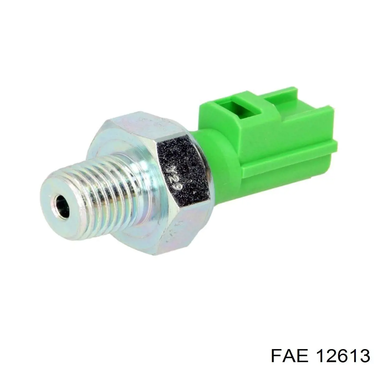 FAE 12613