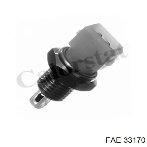 FAE 33170