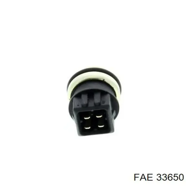 FAE 33650
