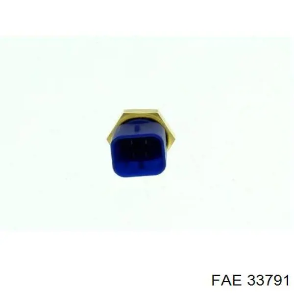 FAE 33791