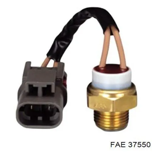 FAE 37550