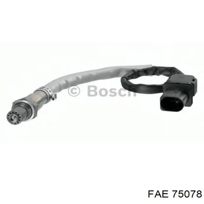 FAE 75078