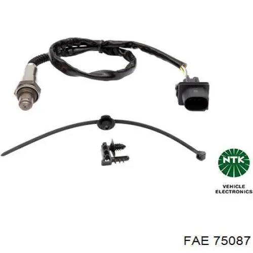 FAE 75087
