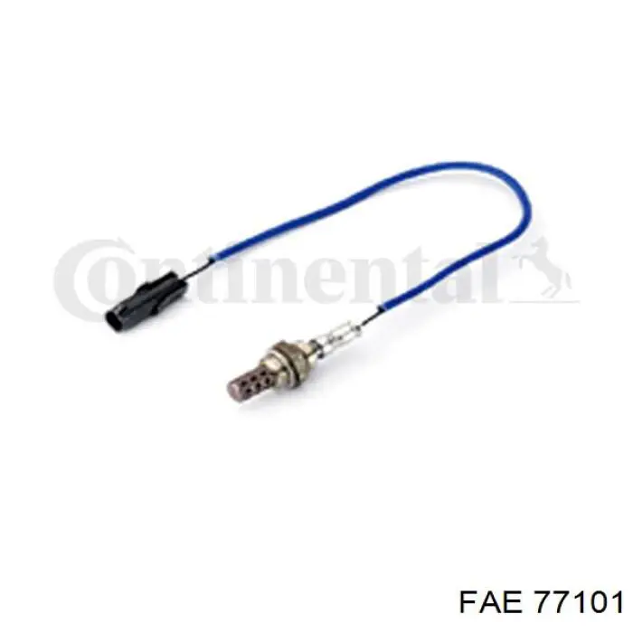 FAE 77101