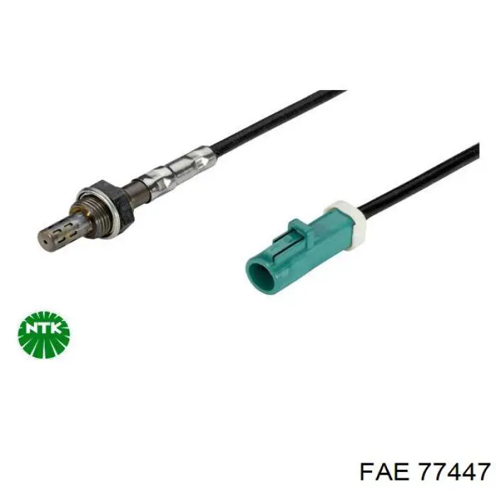 FAE 77447