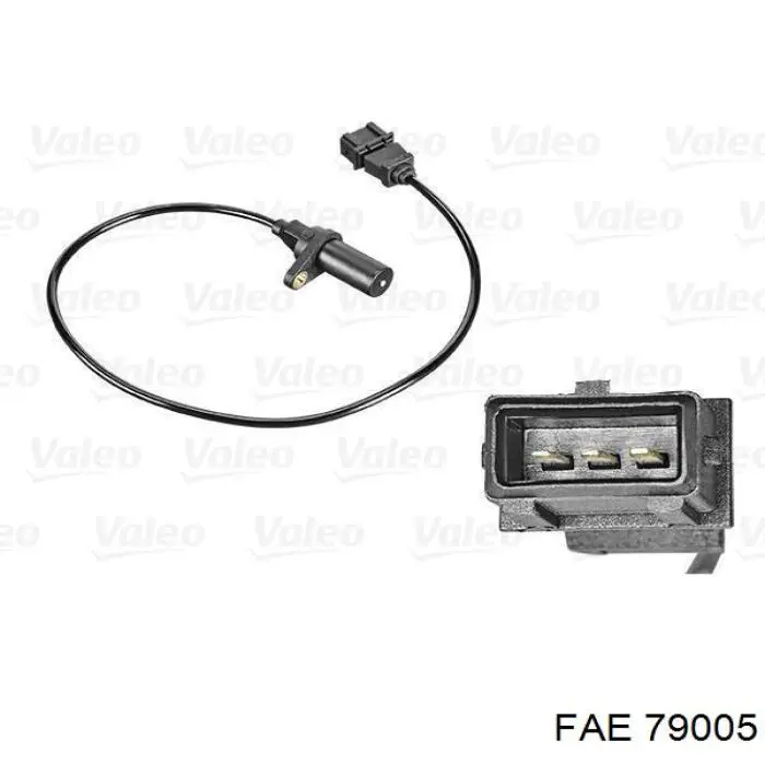 FAE 79005