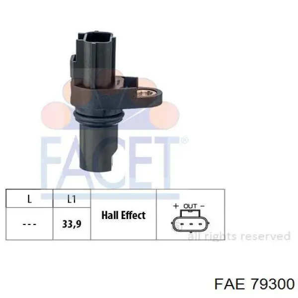 FAE 79300