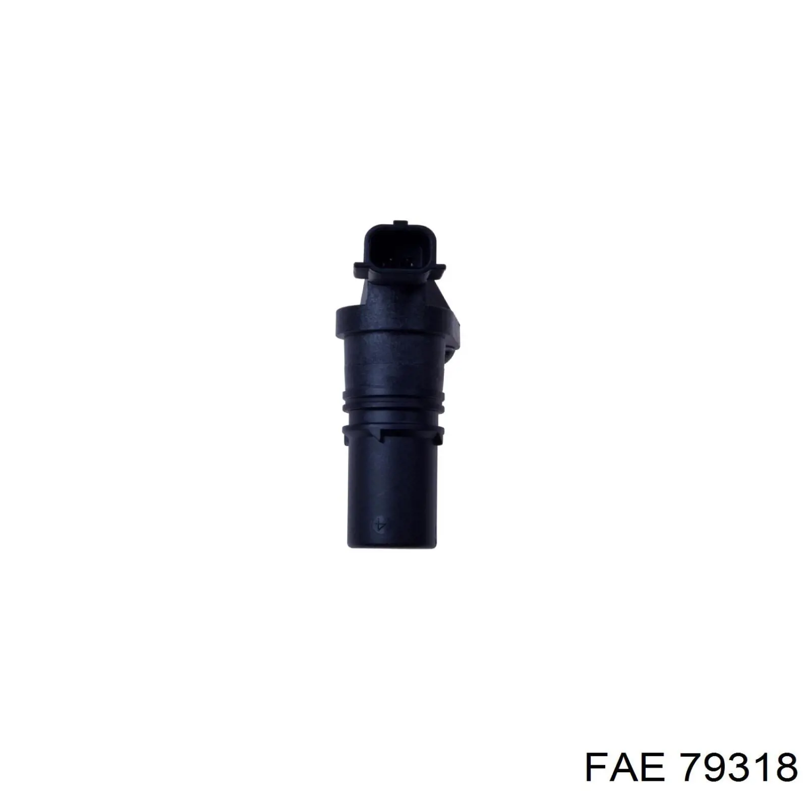 FAE 79318
