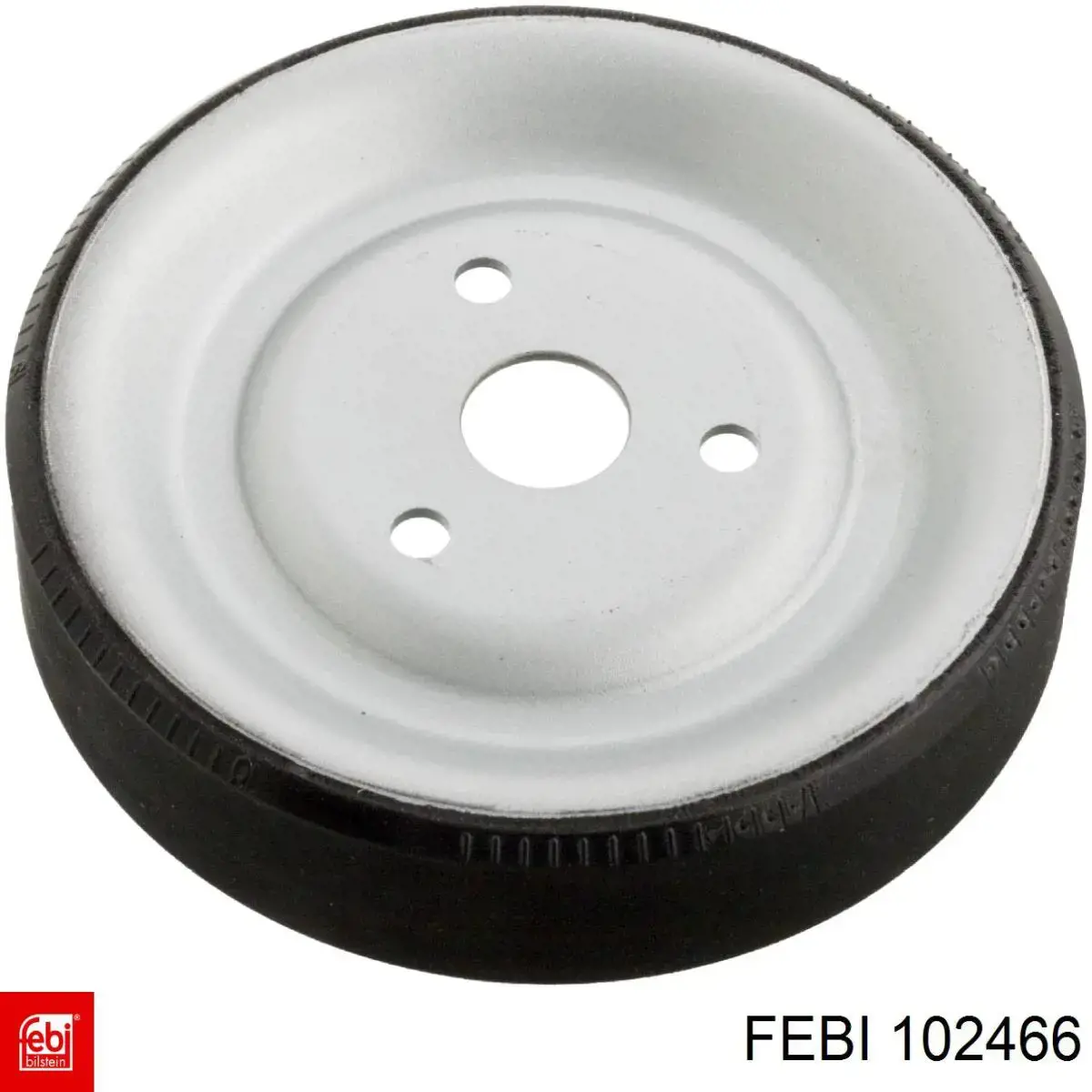 102466 Febi