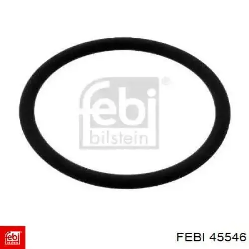 45546 Febi