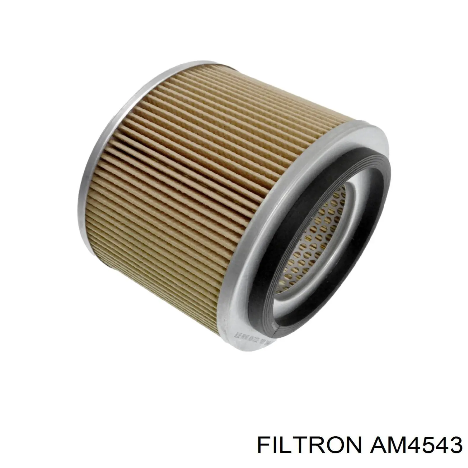Filtron AM4543