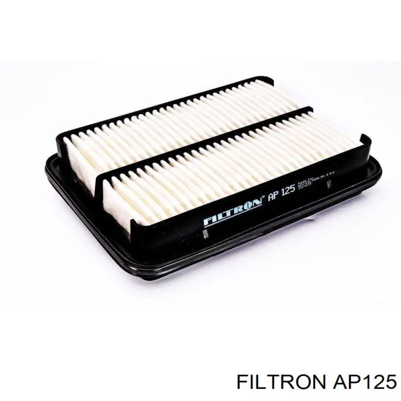 Filtron AP125