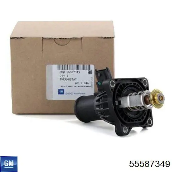 General Motors 55587349