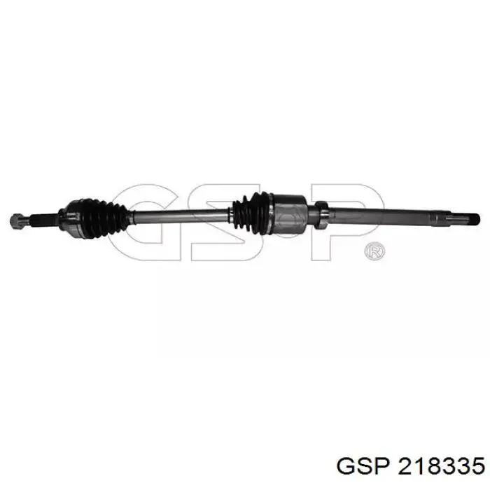 218335 GSP