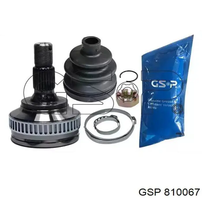 GSP 810067