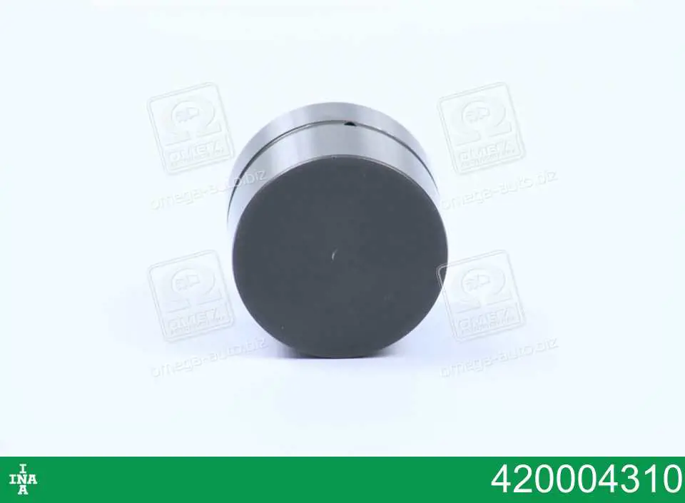 INA 420004310