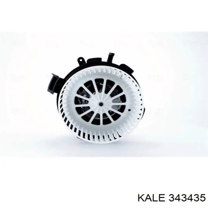 343435 Kale