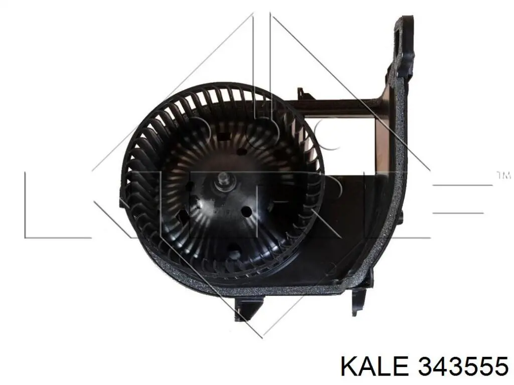 343555 Kale