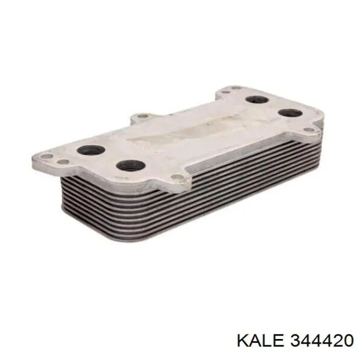 344420 Kale