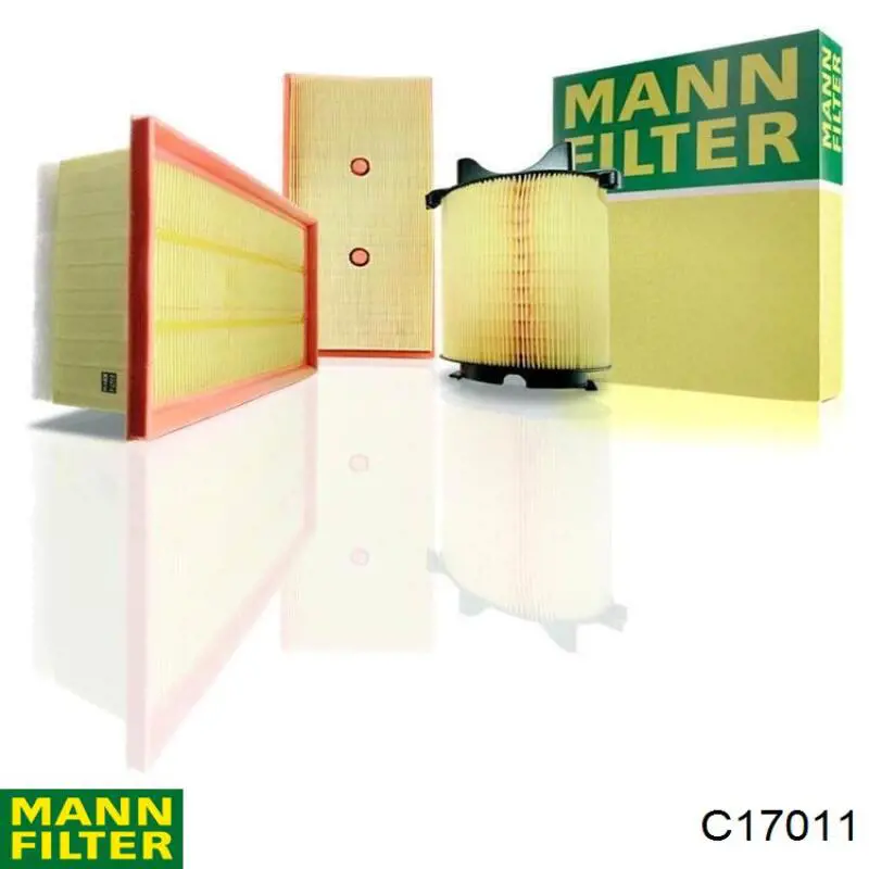 Mann-Filter C17011