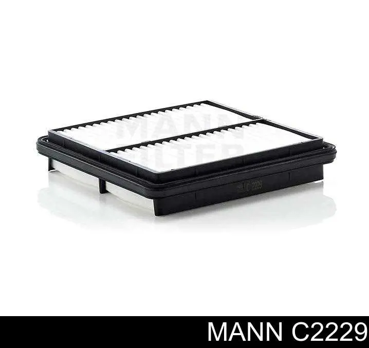 Mann-Filter C2229