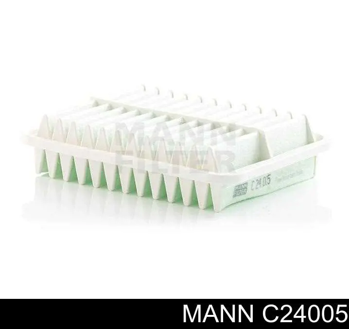 C 24 005