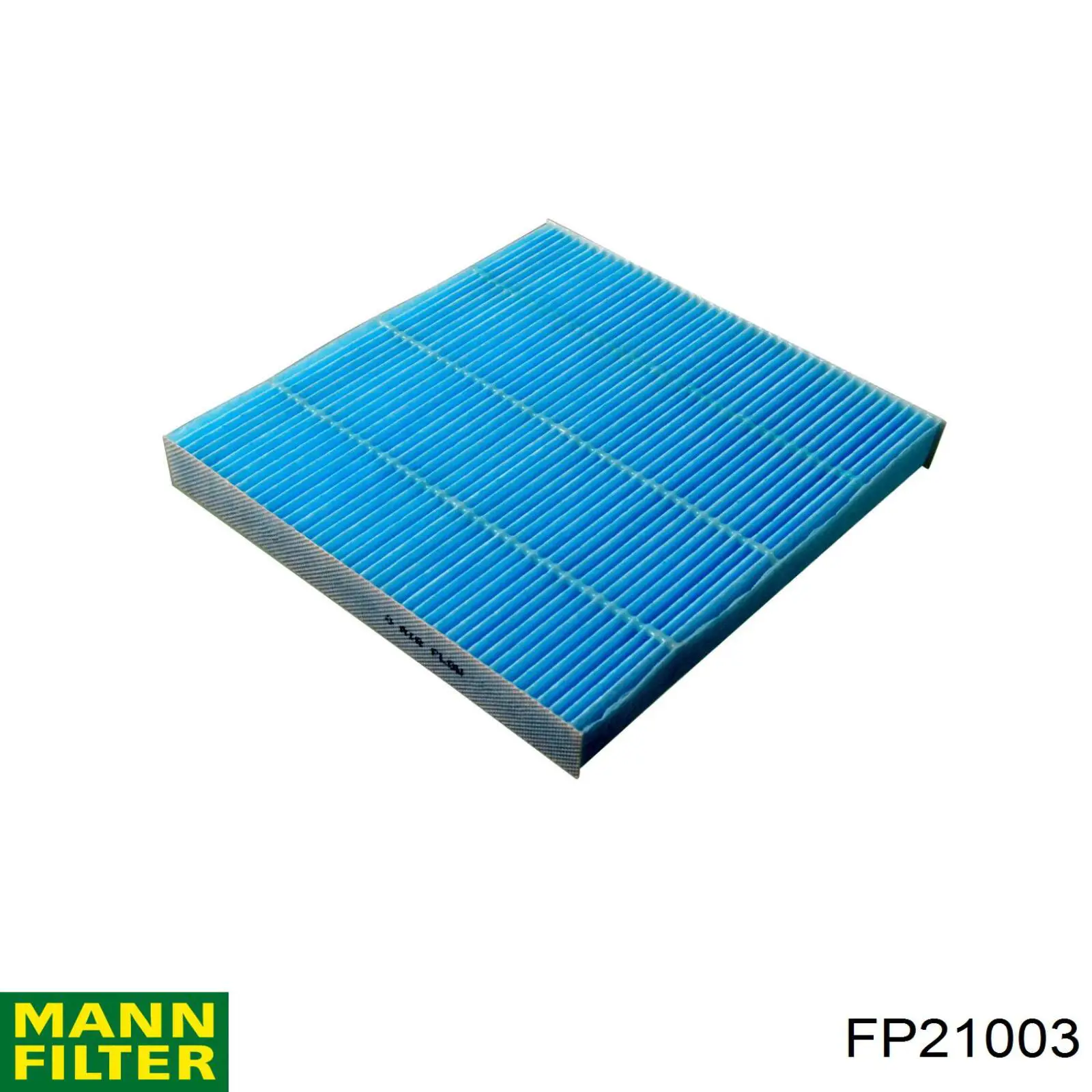 FP 21 003