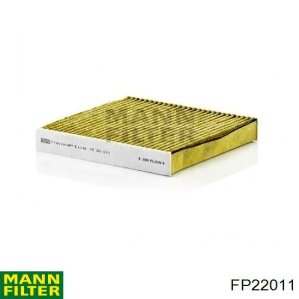 FP 22 011