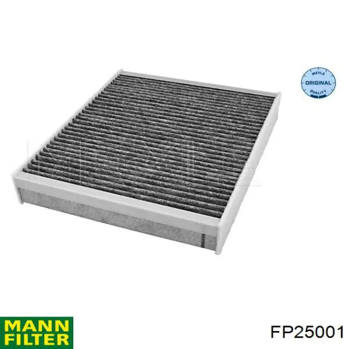 FP 25 001