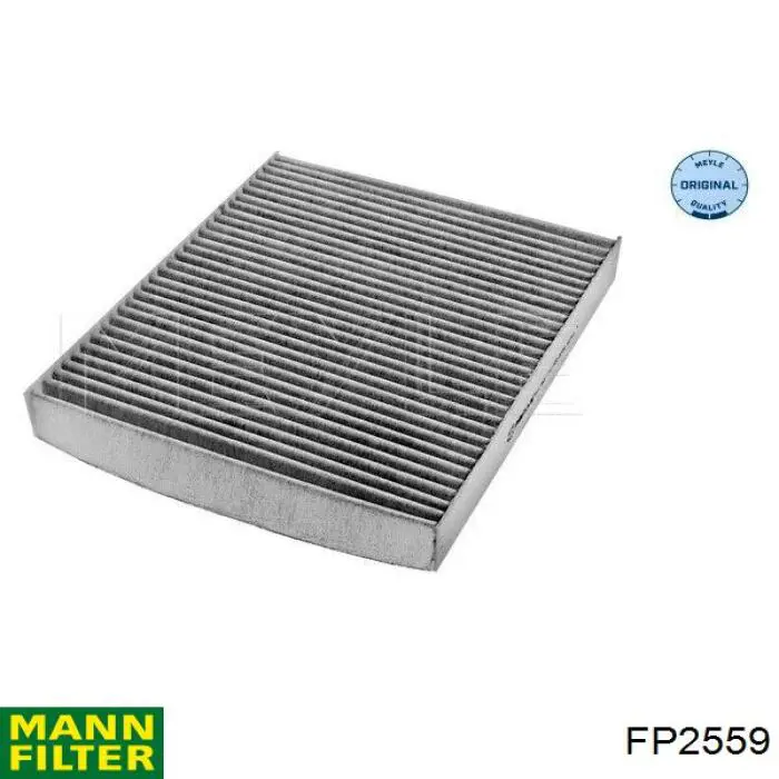 FP 2559